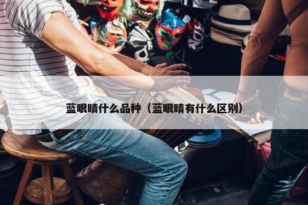 蓝眼睛什么品种（蓝眼睛有什么区别）