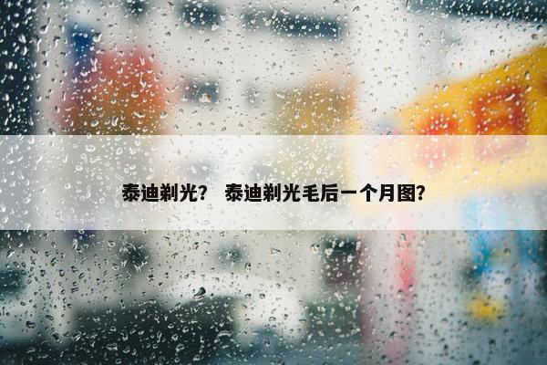 泰迪剃光？ 泰迪剃光毛后一个月图？