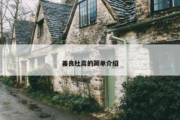善良杜高的简单介绍