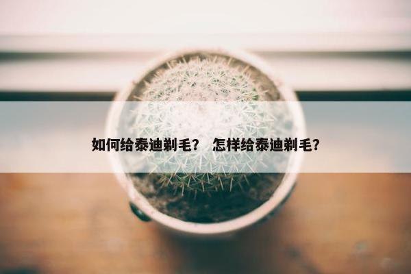 如何给泰迪剃毛？ 怎样给泰迪剃毛？