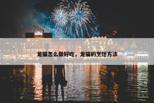 龙猫怎么做好吃，龙猫的烹饪方法