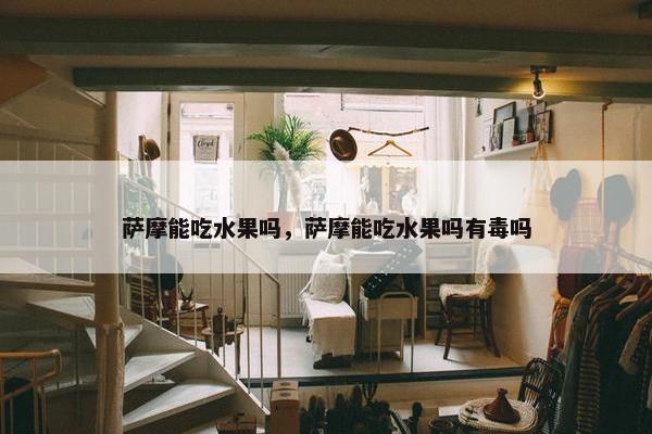 萨摩能吃水果吗，萨摩能吃水果吗有毒吗
