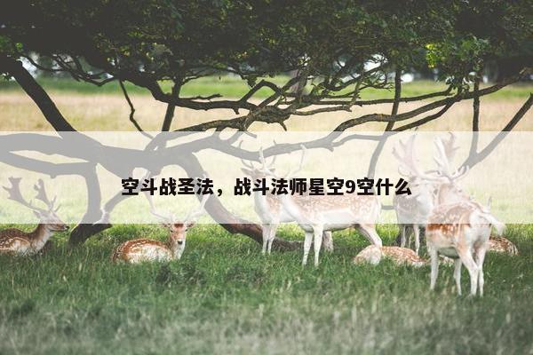 空斗战圣法，战斗法师星空9空什么