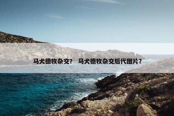 马犬德牧杂交？ 马犬德牧杂交后代图片？