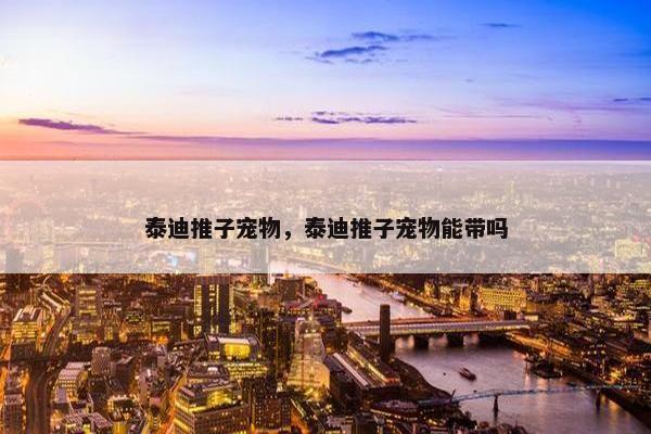 泰迪推子宠物，泰迪推子宠物能带吗