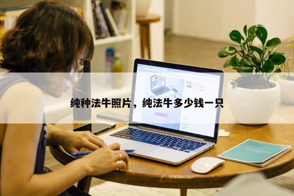 纯种法牛照片，纯法牛多少钱一只