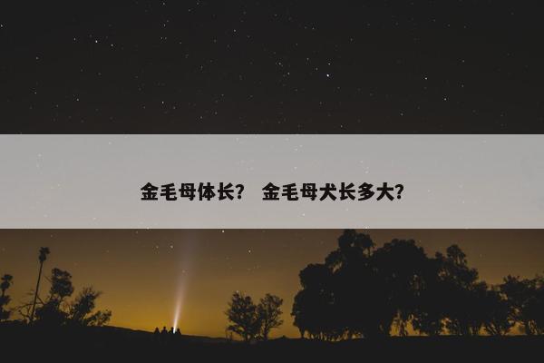 金毛母体长？ 金毛母犬长多大？