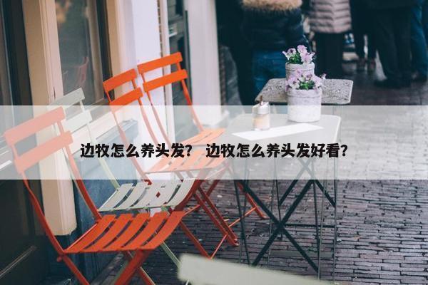 边牧怎么养头发？ 边牧怎么养头发好看？