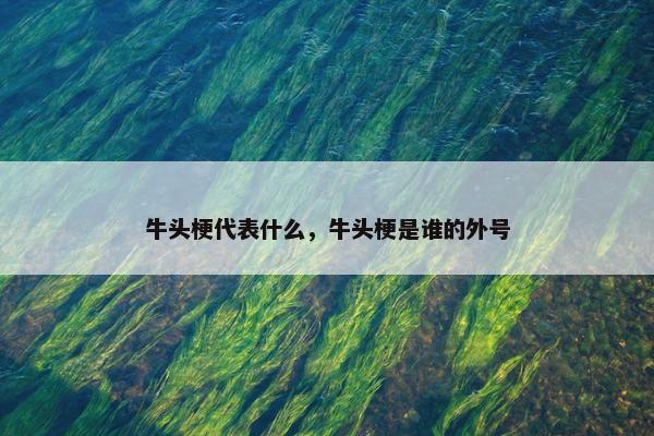 牛头梗代表什么，牛头梗是谁的外号