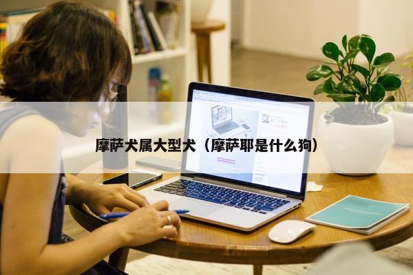 摩萨犬属大型犬（摩萨耶是什么狗）