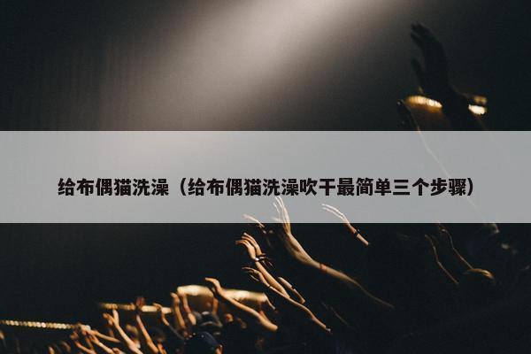 给布偶猫洗澡（给布偶猫洗澡吹干最简单三个步骤）