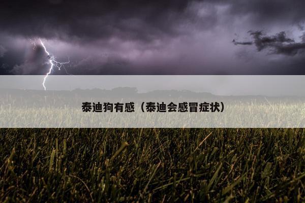 泰迪狗有感（泰迪会感冒症状）