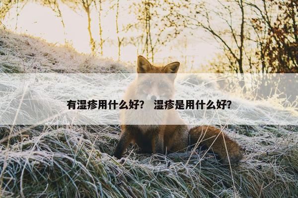 有湿疹用什么好？ 湿疹是用什么好？