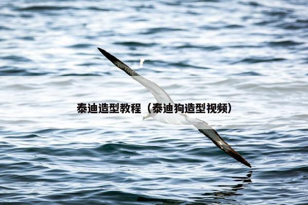 泰迪造型教程（泰迪狗造型视频）
