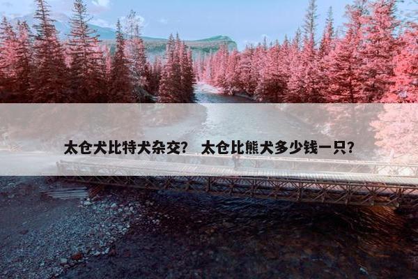 太仓犬比特犬杂交？ 太仓比熊犬多少钱一只？