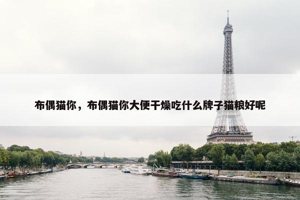布偶猫你，布偶猫你大便干燥吃什么牌子猫粮好呢