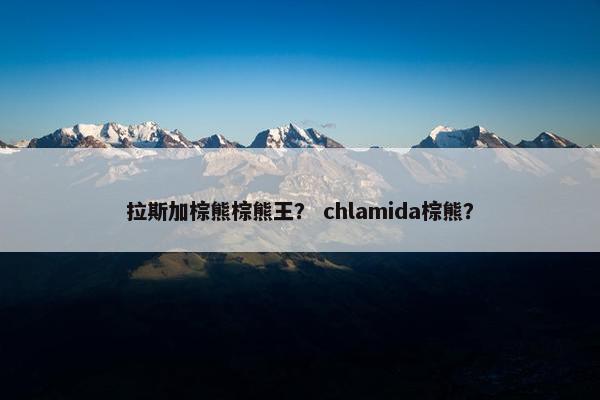 拉斯加棕熊棕熊王？ chlamida棕熊？