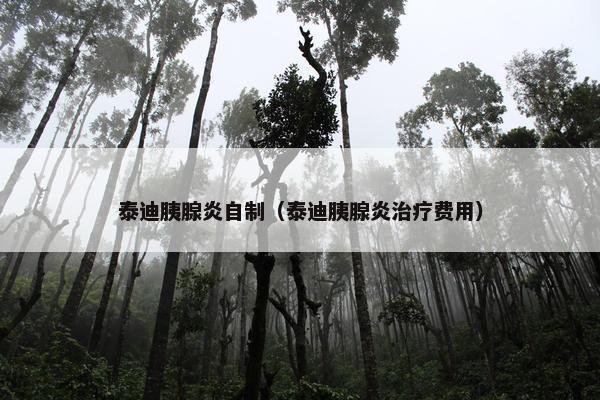 泰迪胰腺炎自制（泰迪胰腺炎治疗费用）