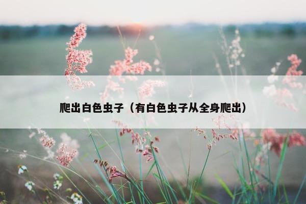 爬出白色虫子（有白色虫子从全身爬出）