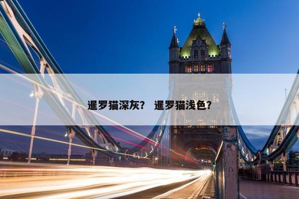 暹罗猫深灰？ 暹罗猫浅色？