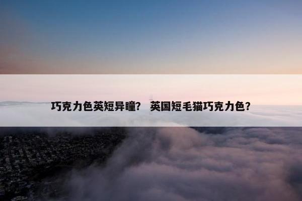 巧克力色英短异瞳？ 英国短毛猫巧克力色？