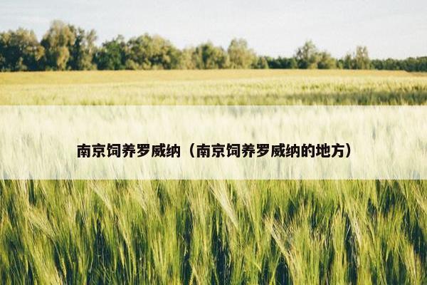 南京饲养罗威纳（南京饲养罗威纳的地方）