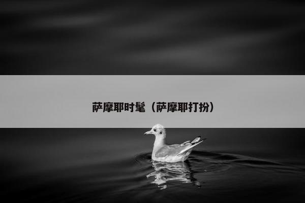 萨摩耶时髦（萨摩耶打扮）