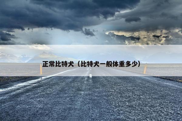 正常比特犬（比特犬一般体重多少）
