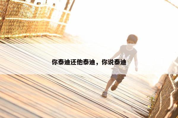 你泰迪还他泰迪，你说泰迪