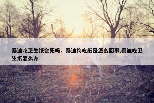 泰迪吃卫生纸会死吗，泰迪狗吃纸是怎么回事,泰迪吃卫生纸怎么办