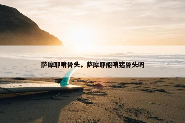 萨摩耶啃骨头，萨摩耶能啃猪骨头吗