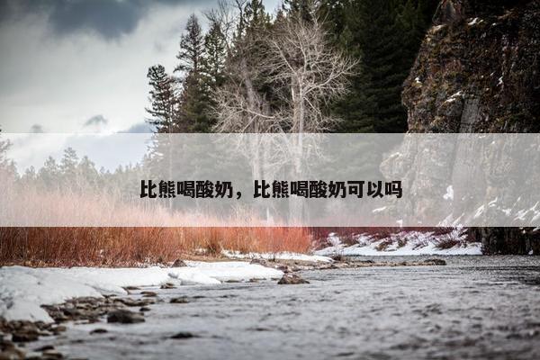 比熊喝酸奶，比熊喝酸奶可以吗