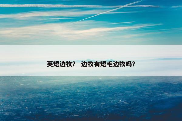 英短边牧？ 边牧有短毛边牧吗？