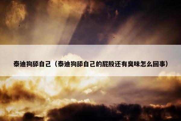 泰迪狗舔自己（泰迪狗舔自己的屁股还有臭味怎么回事）