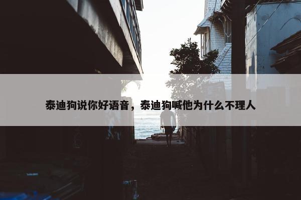 泰迪狗说你好语音，泰迪狗喊他为什么不理人
