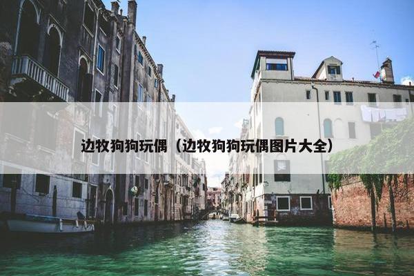 边牧狗狗玩偶（边牧狗狗玩偶图片大全）