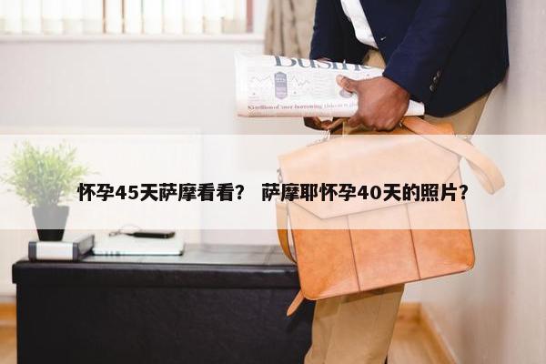怀孕45天萨摩看看？ 萨摩耶怀孕40天的照片？