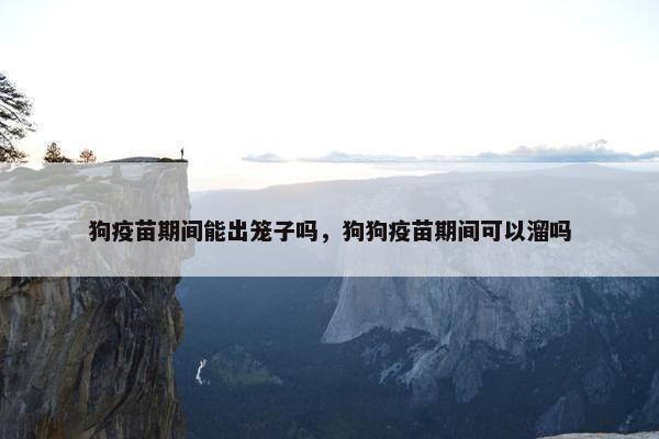 狗疫苗期间能出笼子吗，狗狗疫苗期间可以溜吗