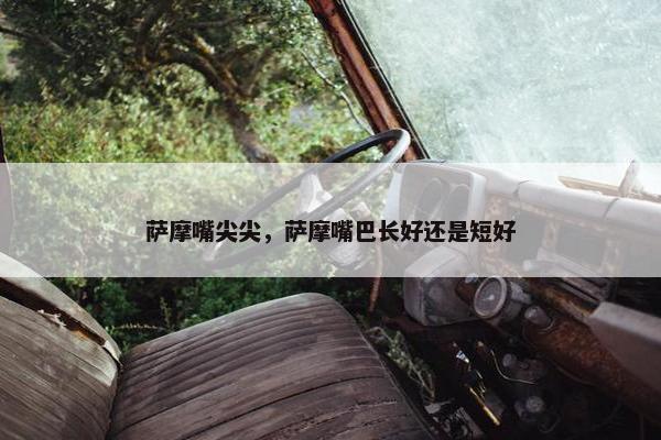 萨摩嘴尖尖，萨摩嘴巴长好还是短好