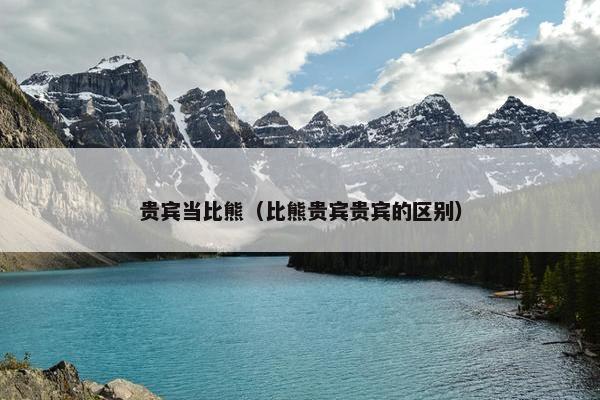 贵宾当比熊（比熊贵宾贵宾的区别）