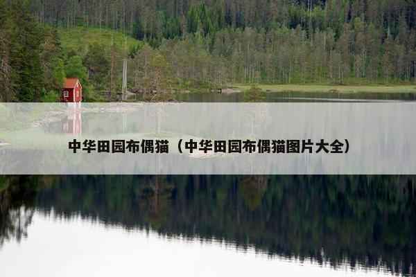 中华田园布偶猫（中华田园布偶猫图片大全）