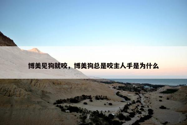 博美见狗就咬，博美狗总是咬主人手是为什么