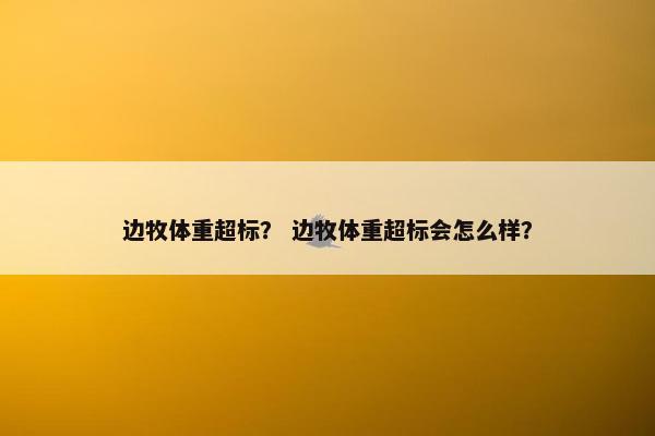 边牧体重超标？ 边牧体重超标会怎么样？