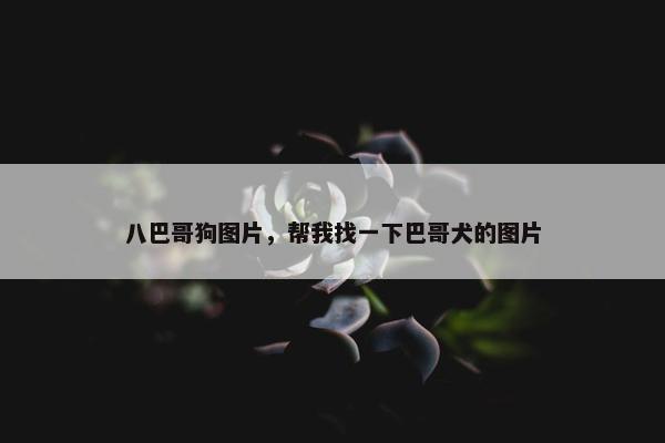 八巴哥狗图片，帮我找一下巴哥犬的图片