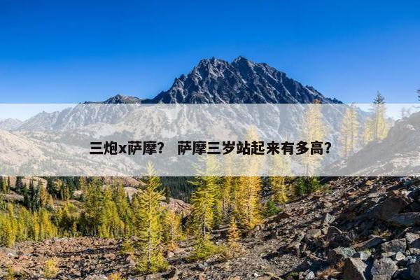 三炮x萨摩？ 萨摩三岁站起来有多高？