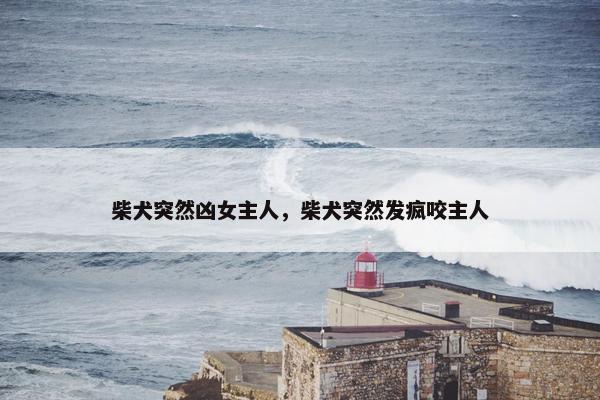 柴犬突然凶女主人，柴犬突然发疯咬主人