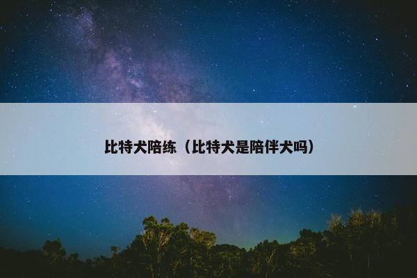 比特犬陪练（比特犬是陪伴犬吗）