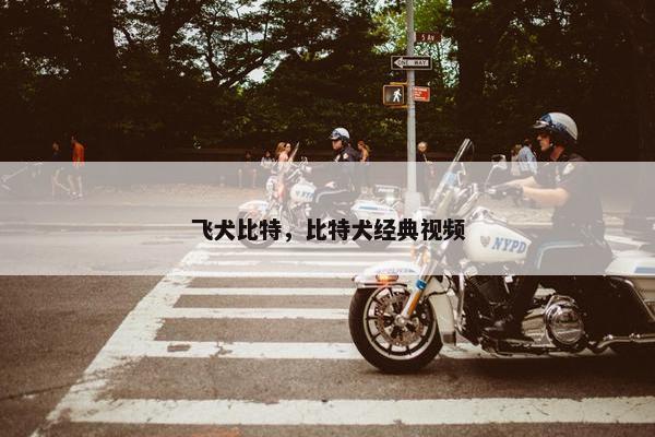 飞犬比特，比特犬经典视频
