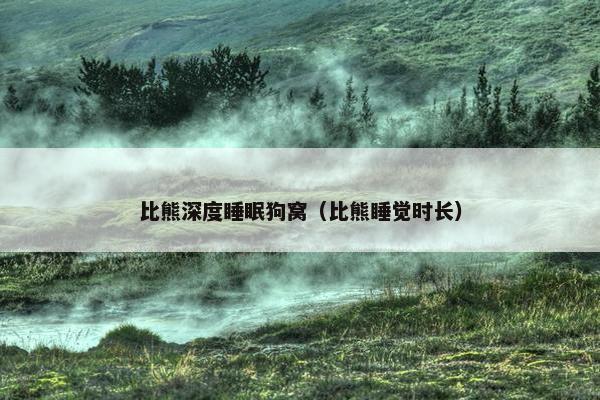 比熊深度睡眠狗窝（比熊睡觉时长）