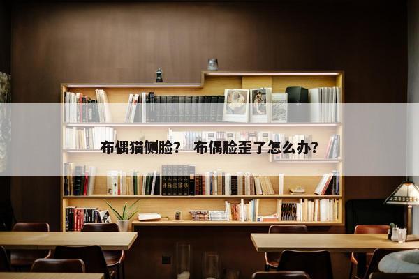 布偶猫侧脸？ 布偶脸歪了怎么办？